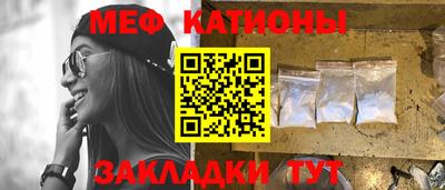 шишки Кандалакша