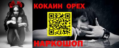 шишки Кандалакша