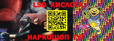 шишки Кандалакша