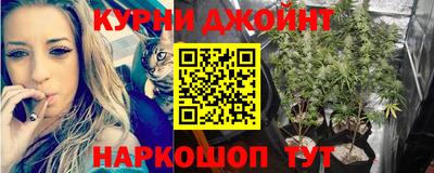 шишки Кандалакша