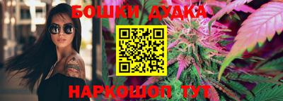 шишки Кандалакша