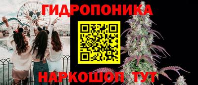 шишки Кандалакша