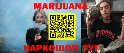шишки Кандалакша