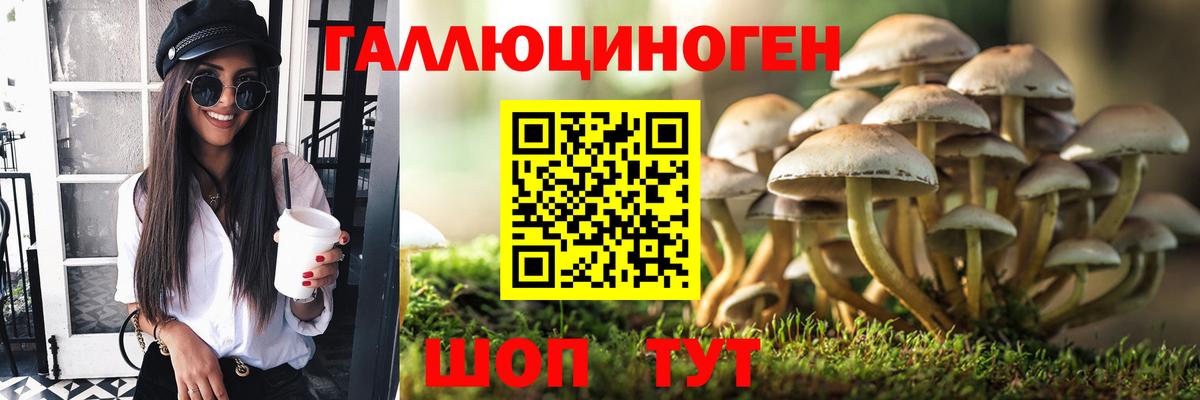 наркота  Галлюциногенные грибы MAGIC MUSHROOMS  Вход с VPN  Краснодар 